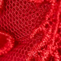 Alkalmi ruha piros rövid harang alakú gumirozott derékrésszel tüllből virágos hímzés