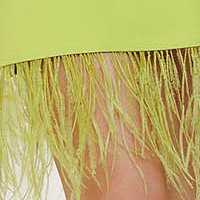 Light Green Elastic Fabric Short Dress with Straight Cut and Side Pockets Accessorized with Feathers - Fofy