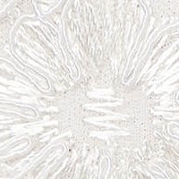 Fehér mellrésznél szivacsos alkalmi harang ruha tüllből virágos hímzéssel